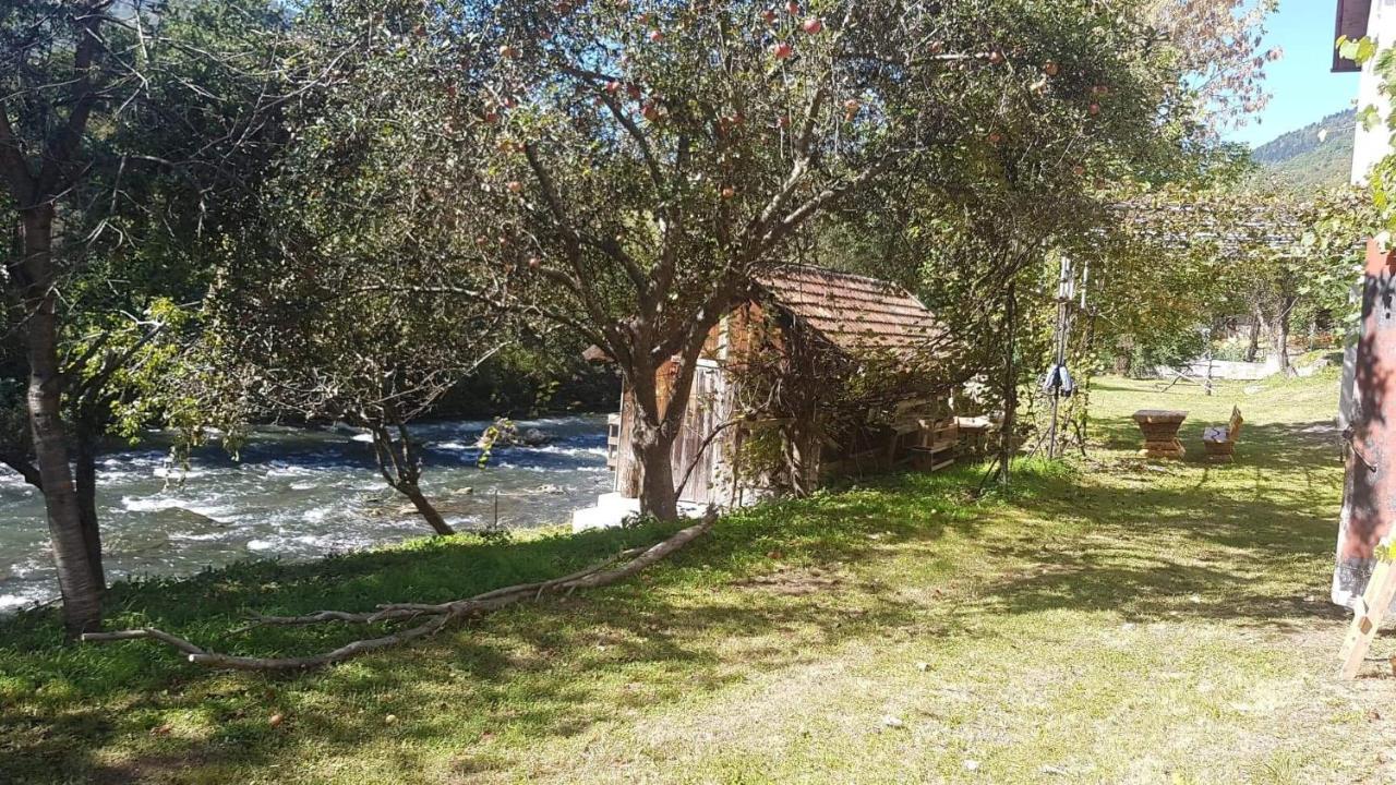 Vinac Guest House يايتشه المظهر الخارجي الصورة